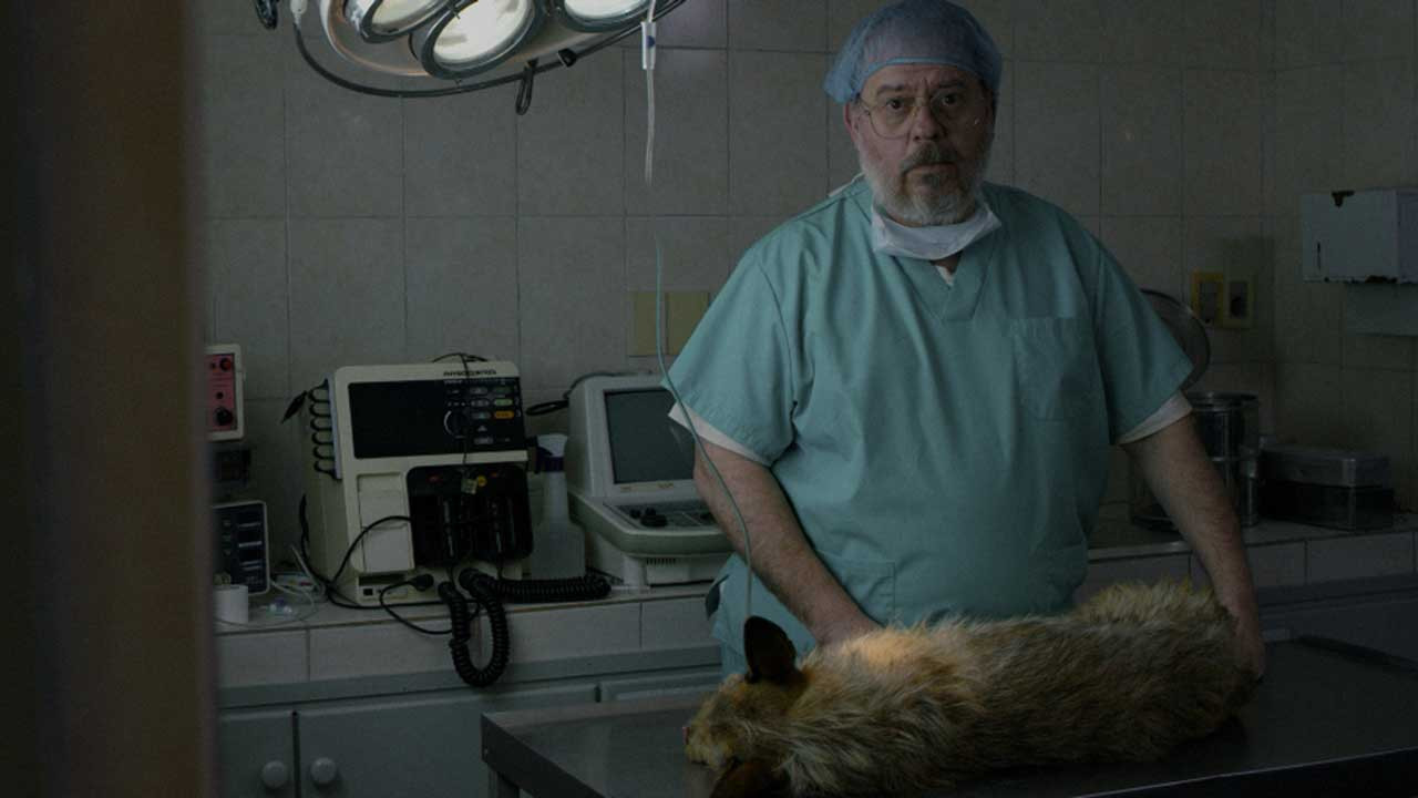 A Dog's Death's poster