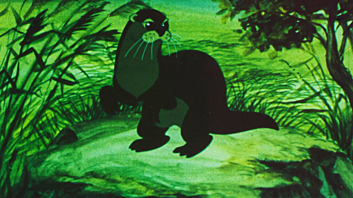 Komino's poster