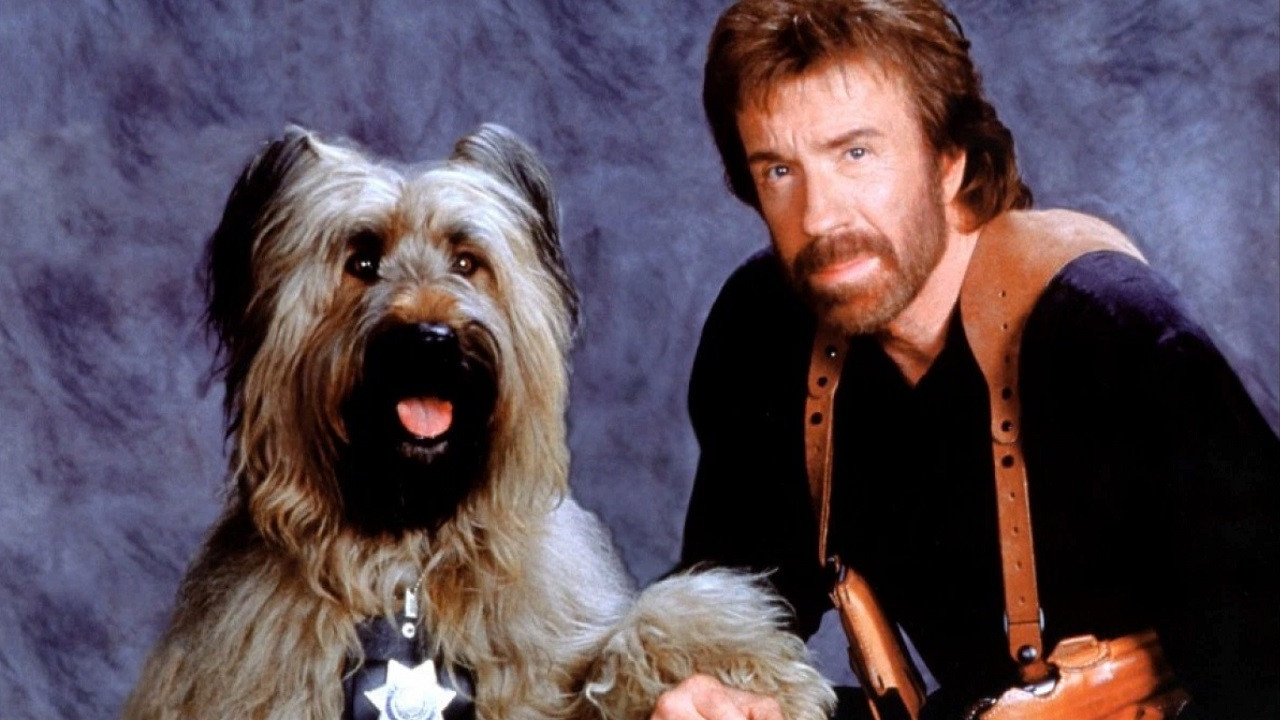Top Dog's poster