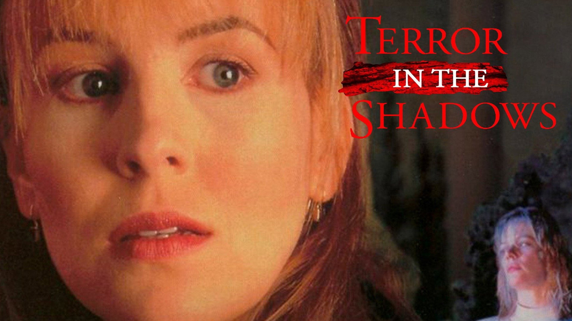 Terror in the Shadows's poster