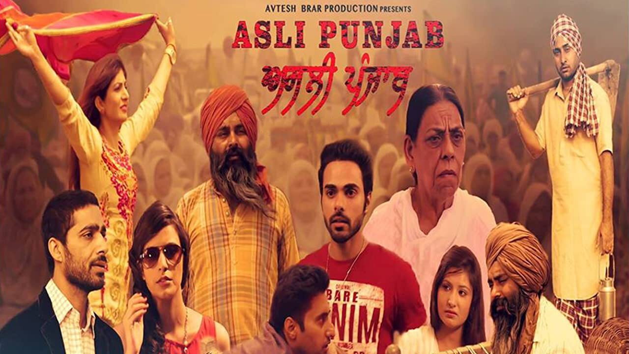 Asli Punjab's poster