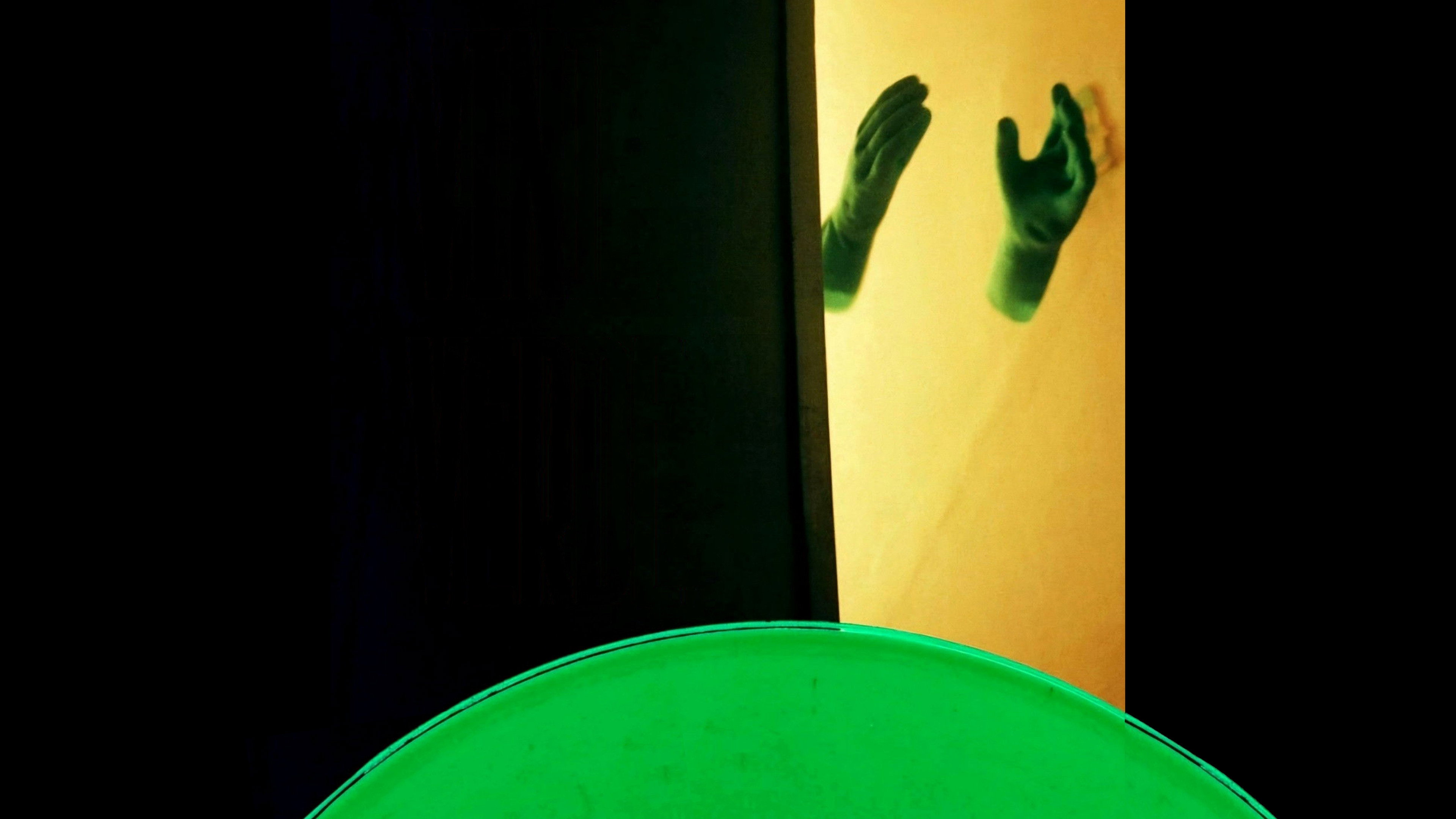 Green Vinyl's poster
