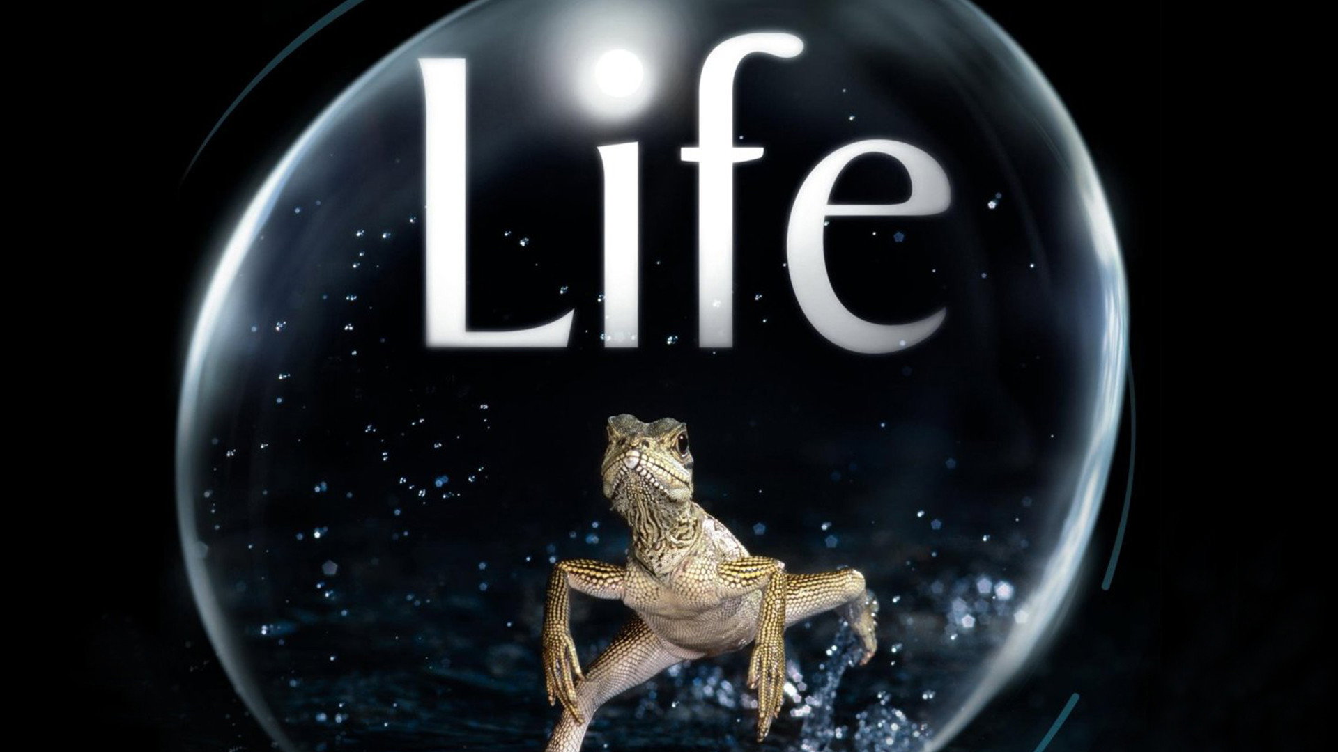 Life's poster