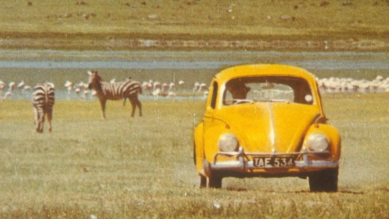 The Love Bug Rally's poster