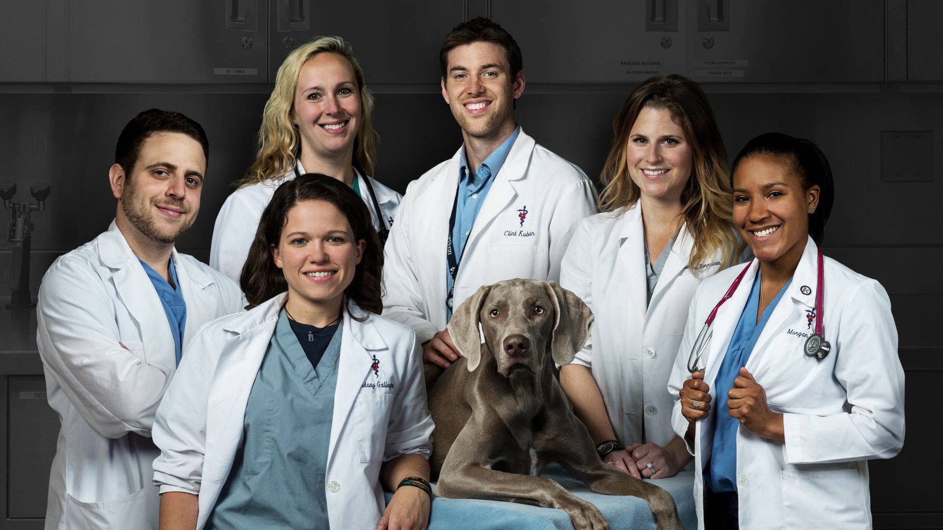 Life at Vet U's poster
