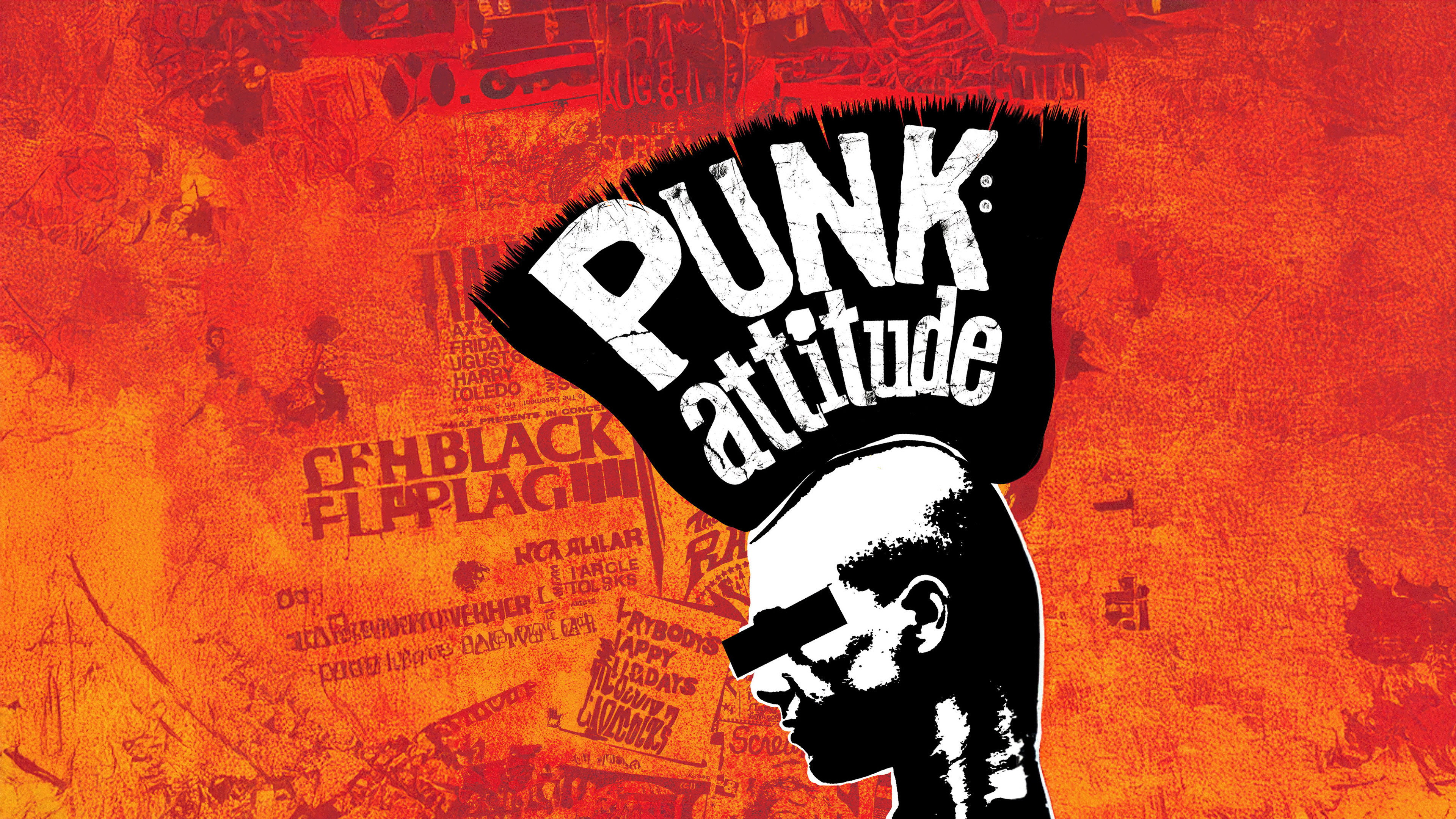 Punk: Attitude's poster