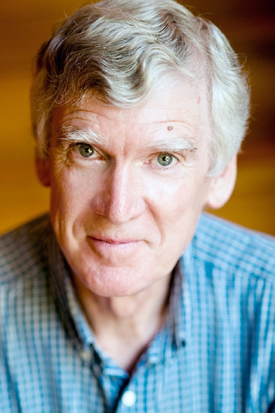 David Williamson's poster
