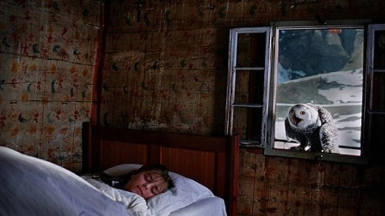 Winter Silence's poster