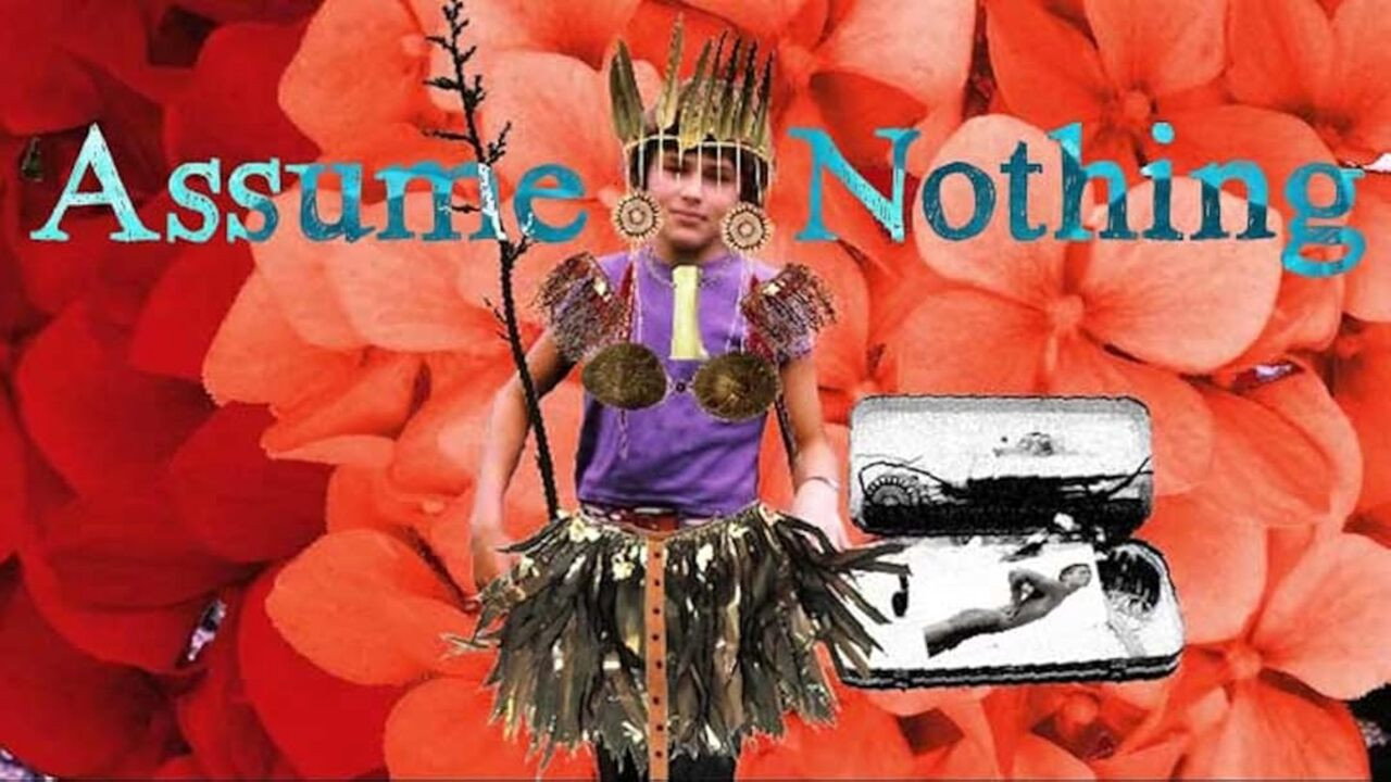 Assume Nothing's poster