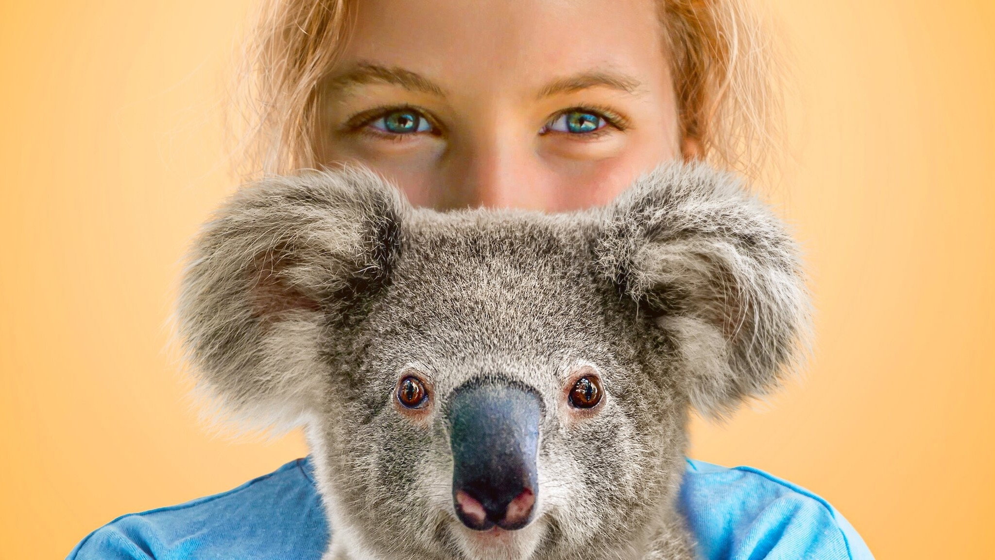 Izzy's Koala World's poster