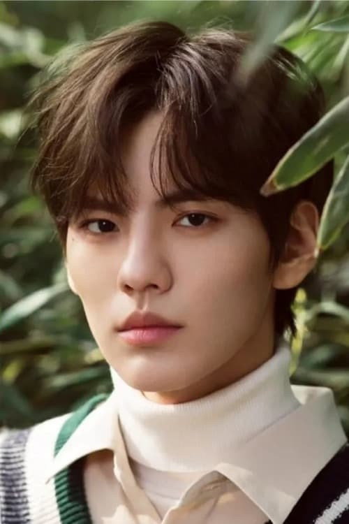 Bi Wenjun's poster