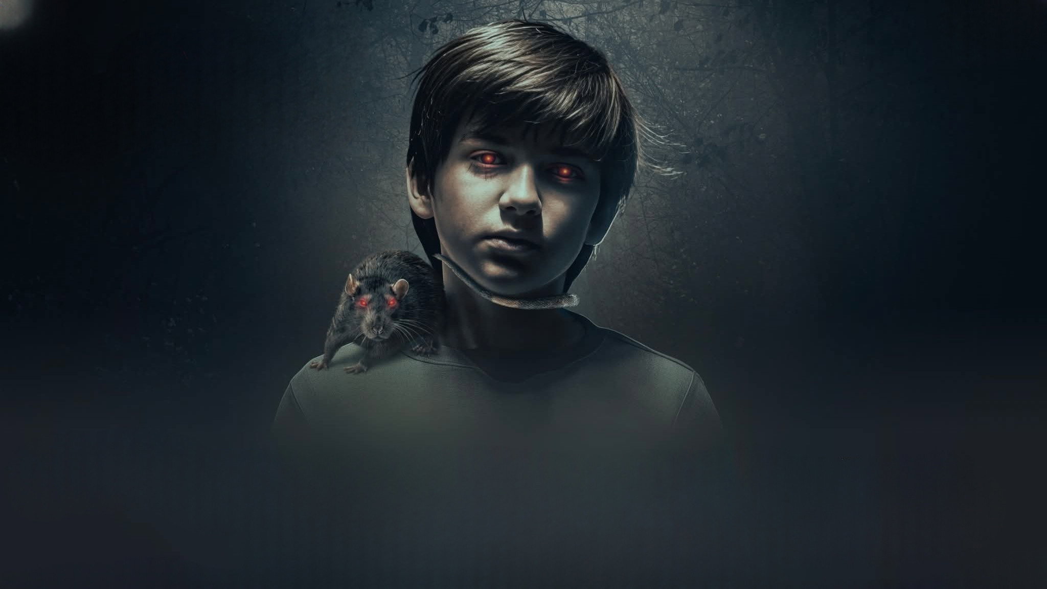 The Confession's poster