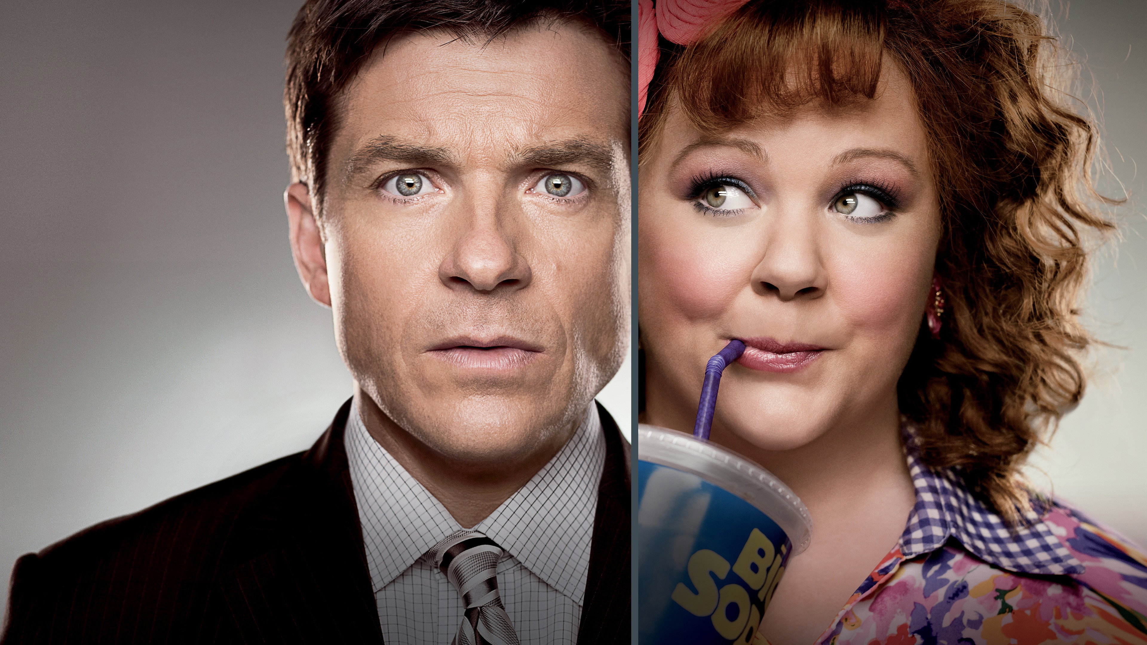 Identity Thief's poster
