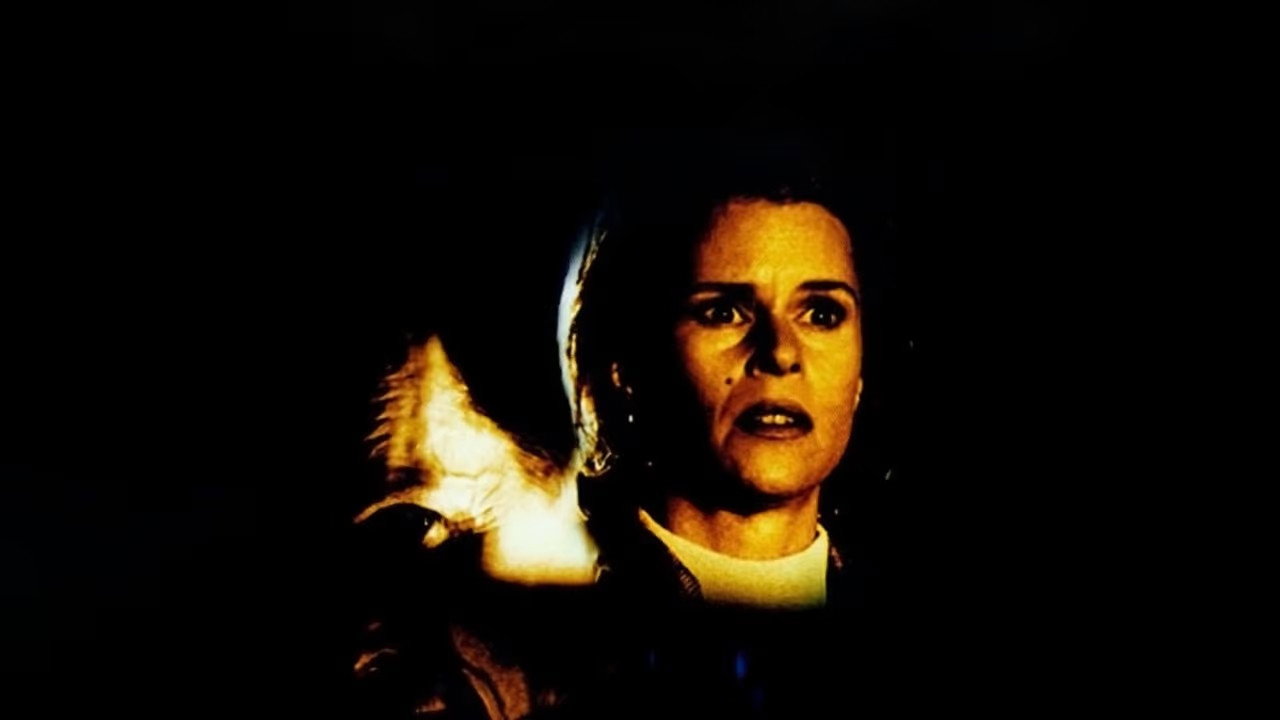 Midnight Flight's poster