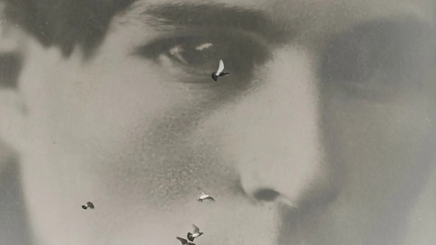 Great Spirit's poster