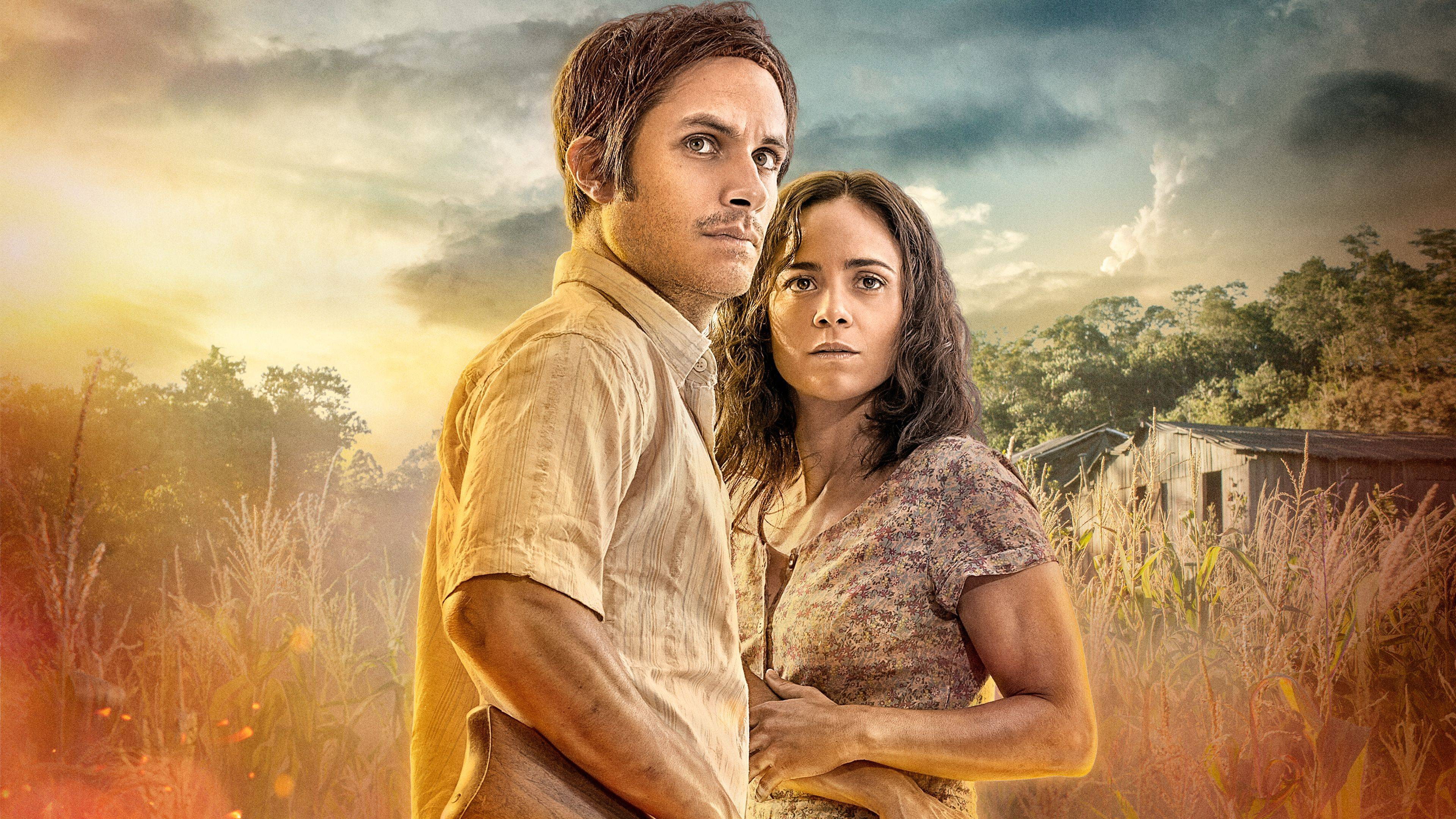 The Ardor's poster