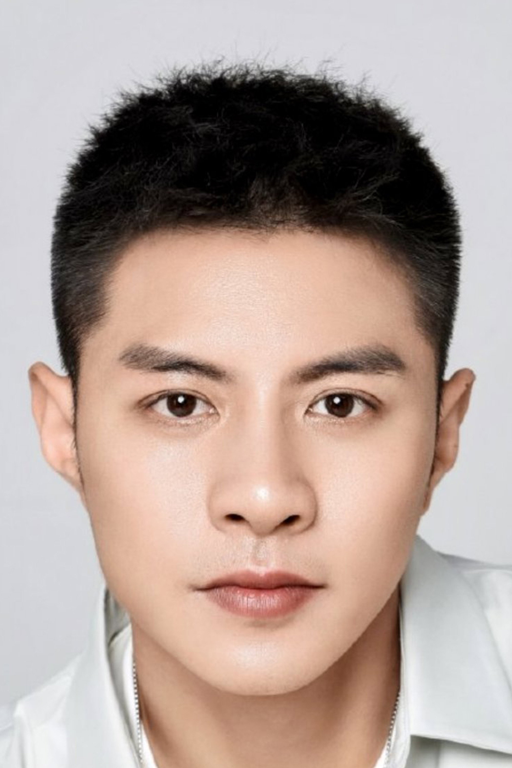 Hu Xifan's poster