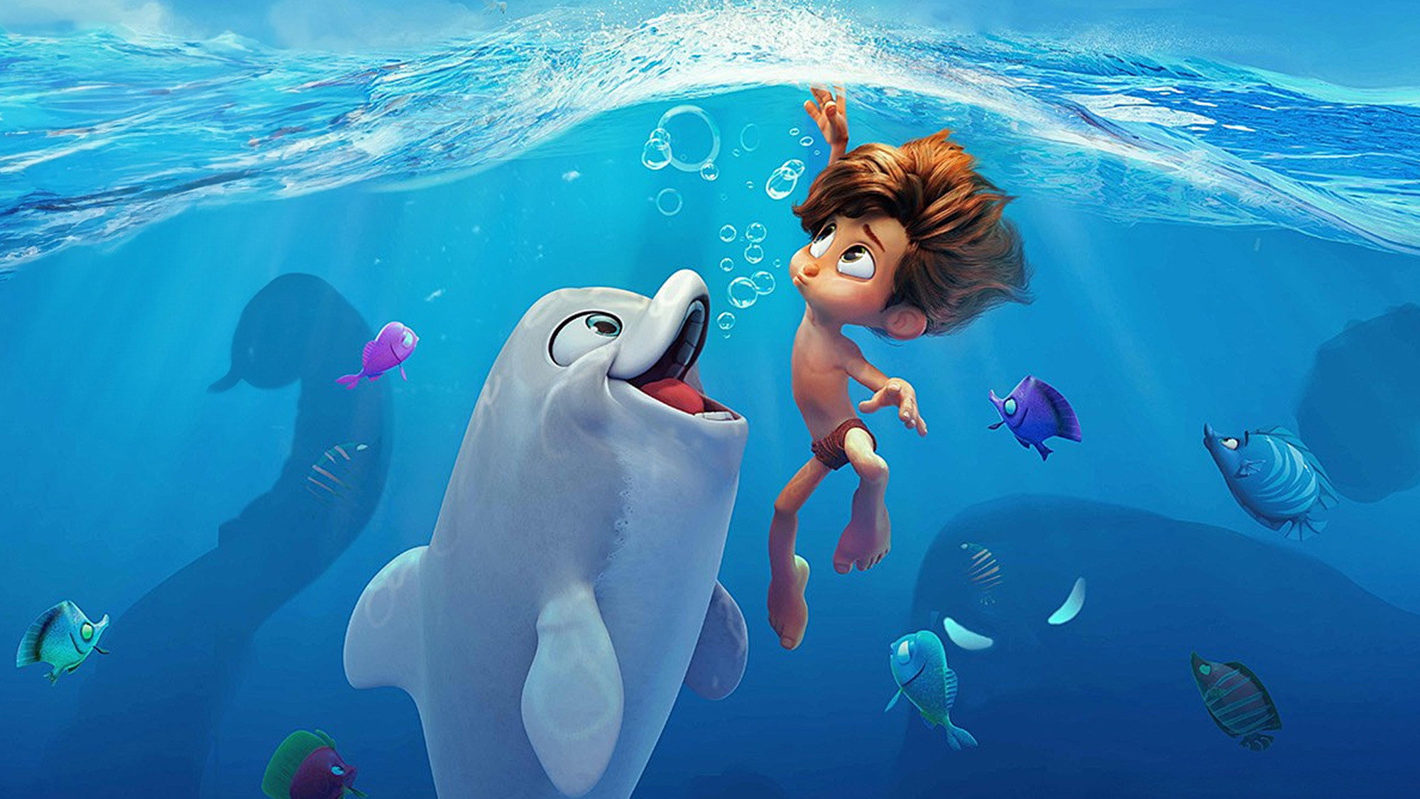 Dolphin Boy's poster