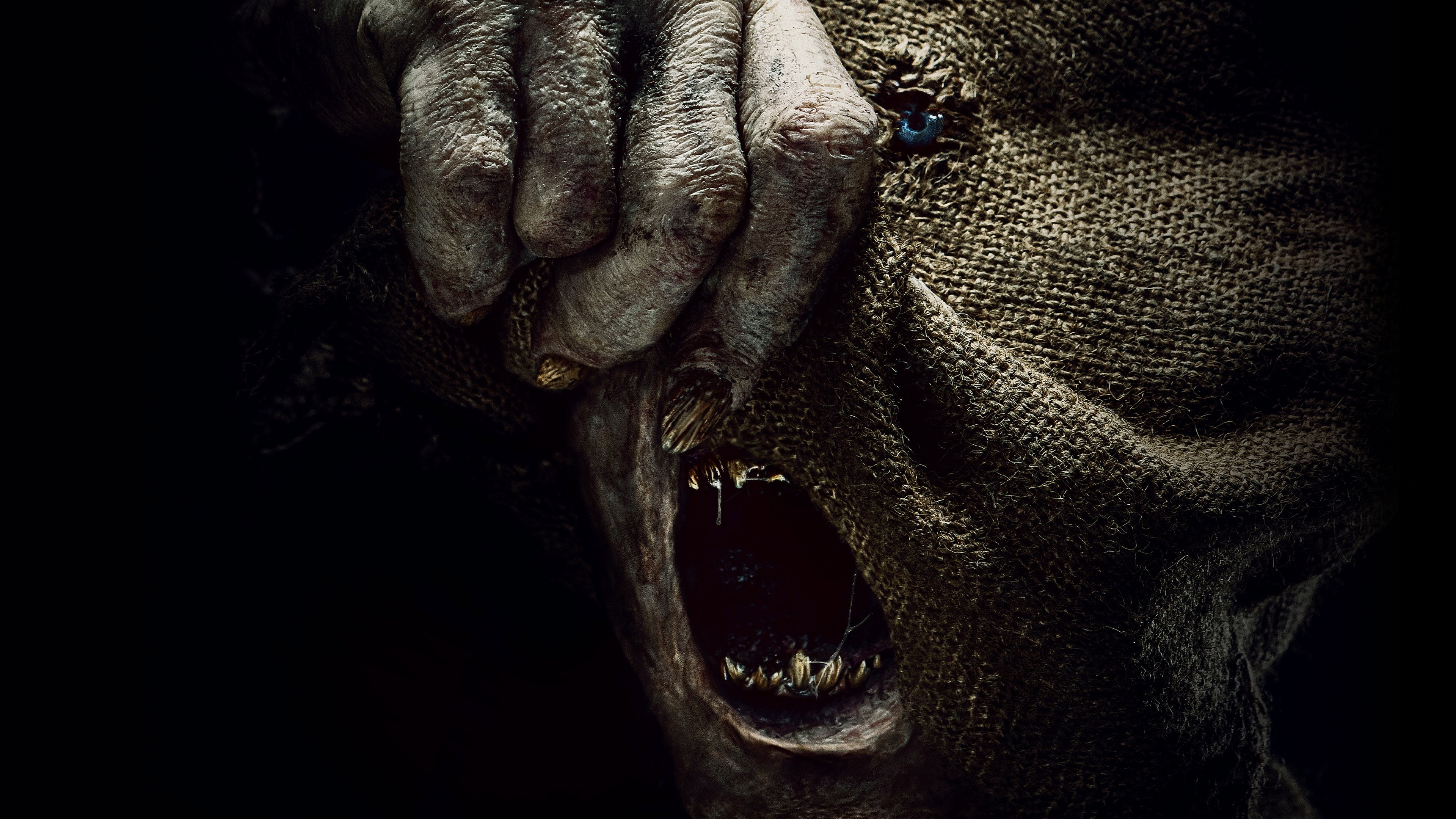 Baghead's poster