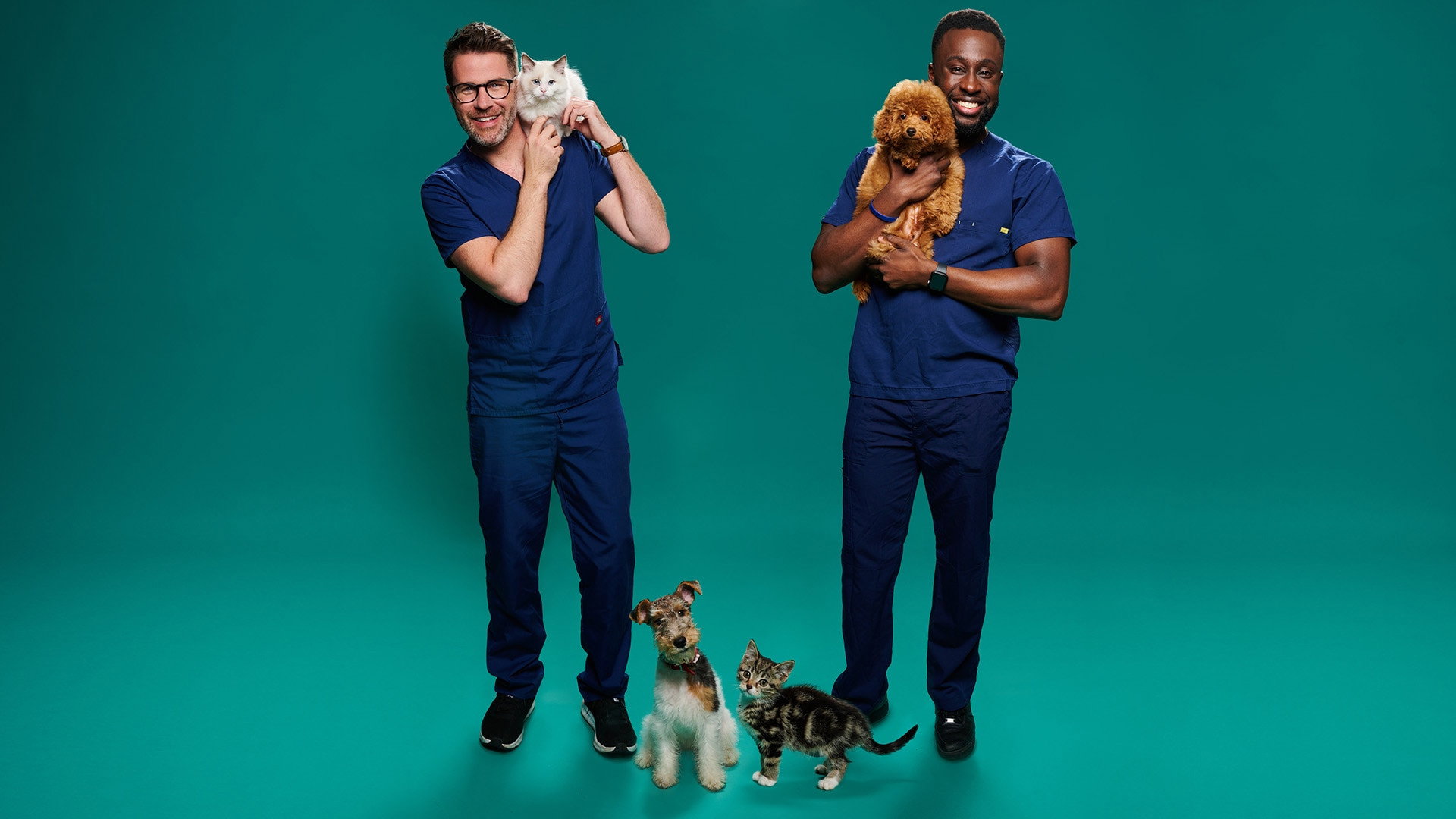 Fur Babies's poster