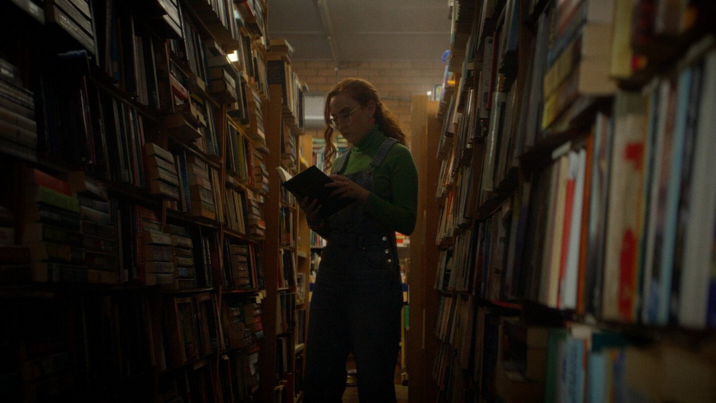 Bibliophile's poster