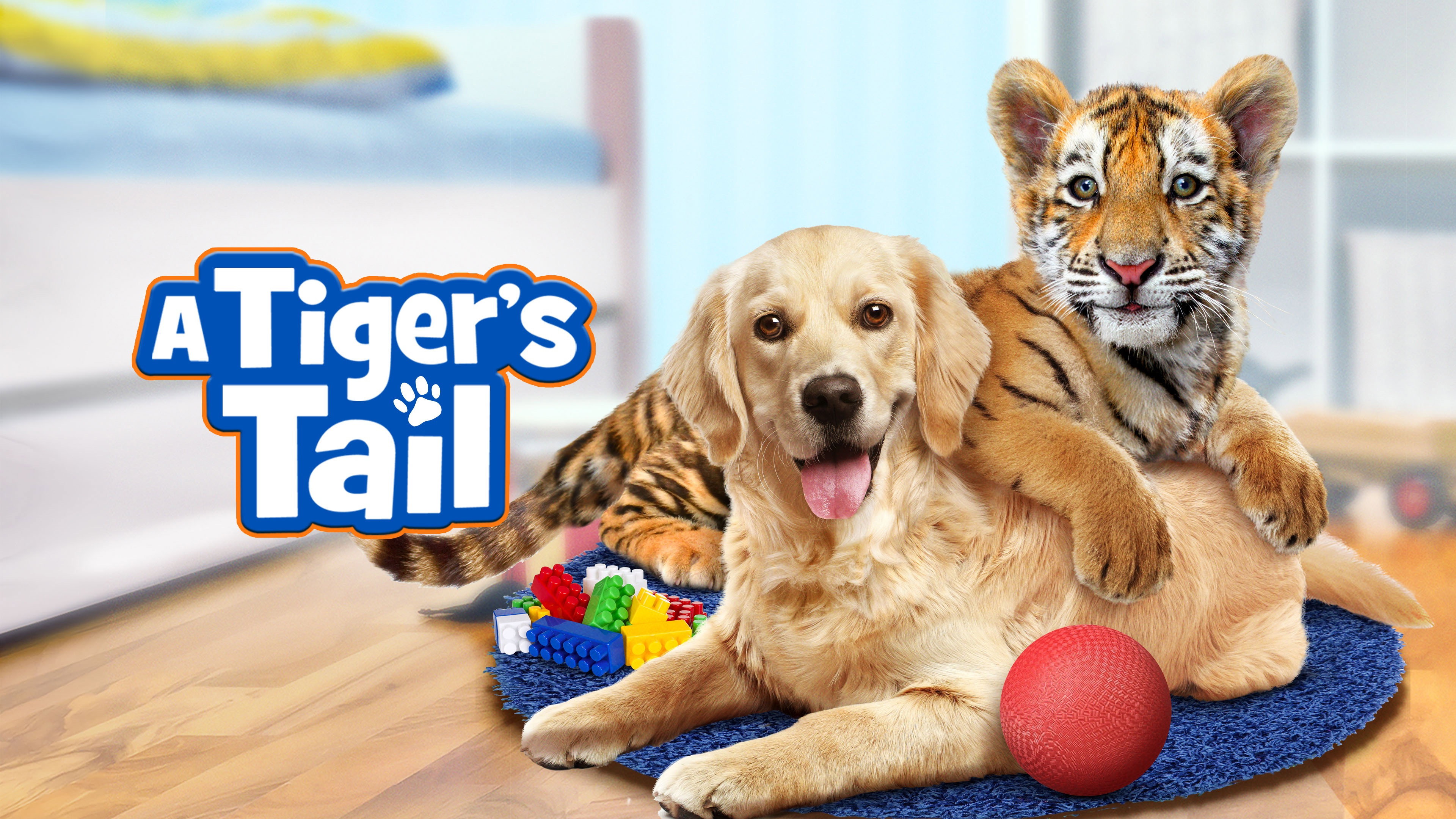 A Tiger's Tail's poster