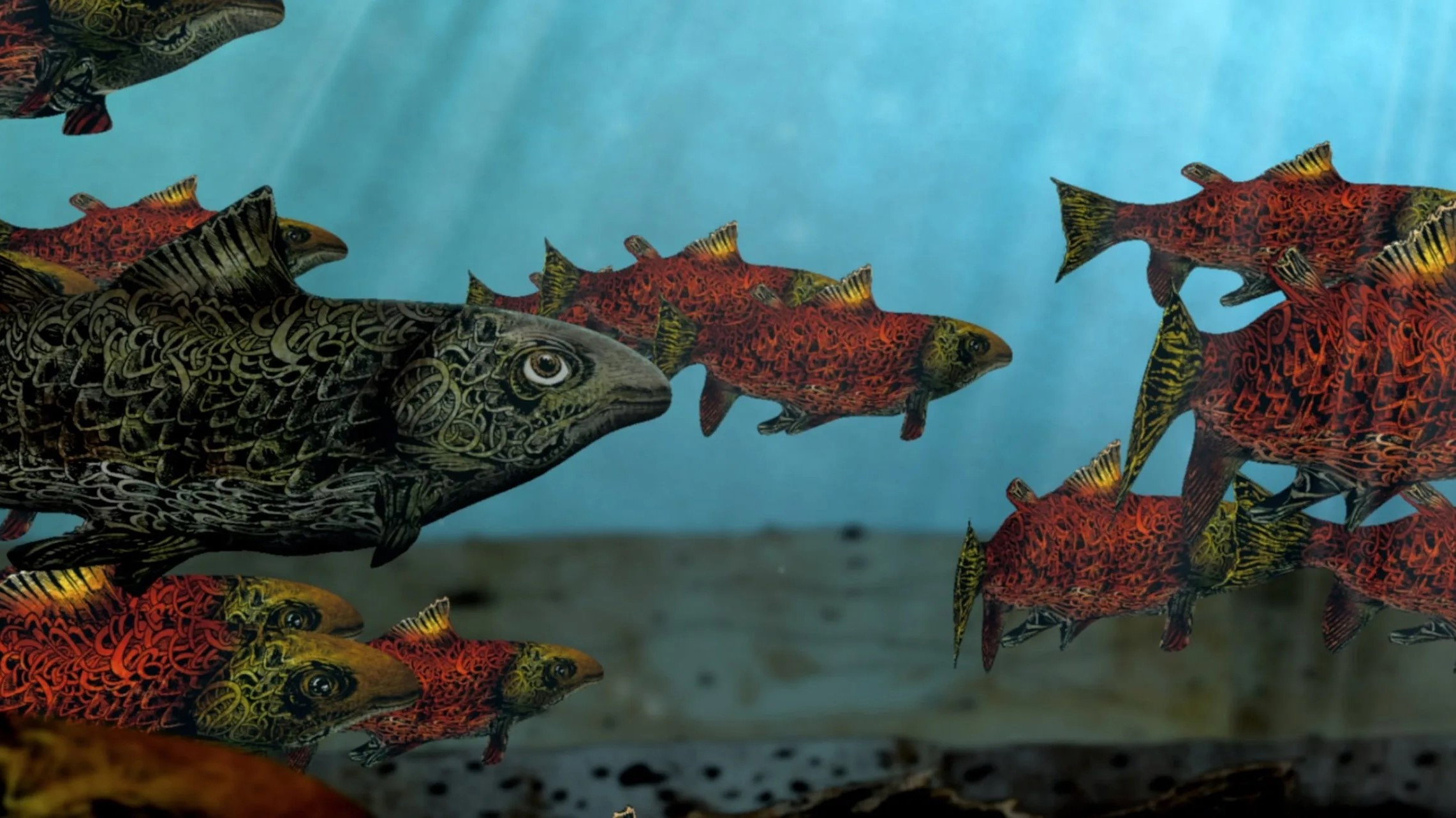 Salmon's poster