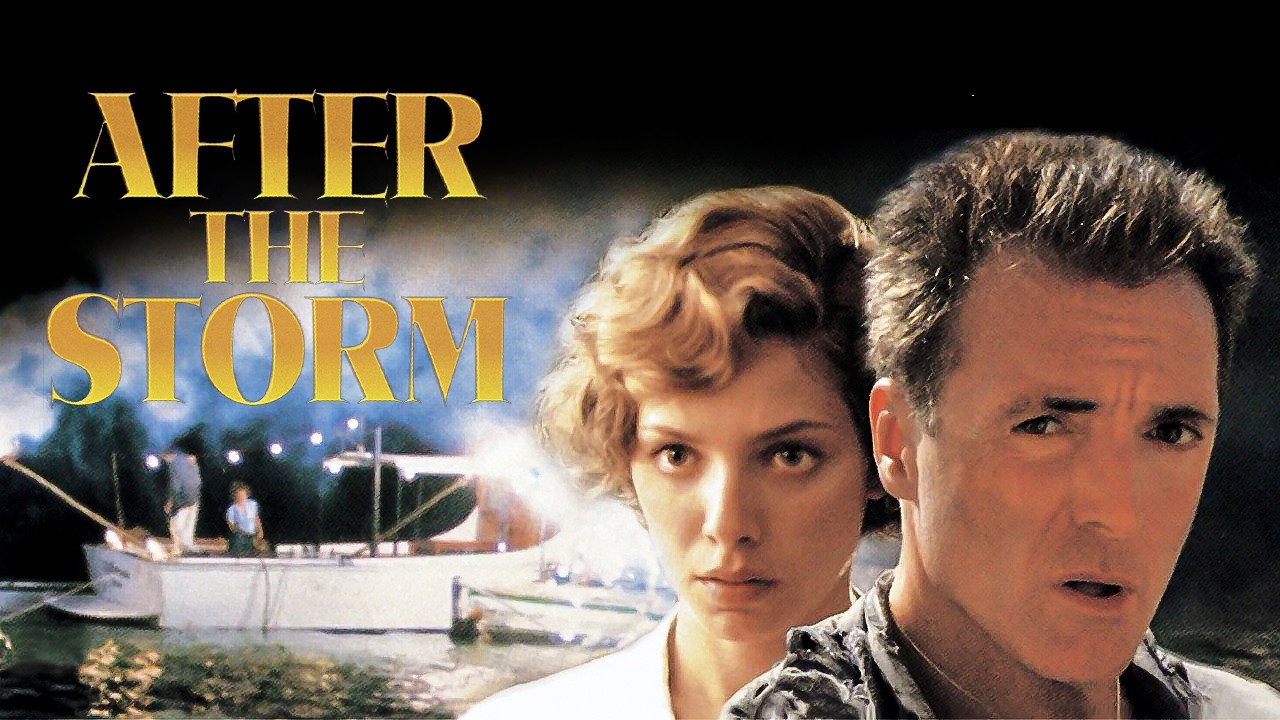 After the Storm's poster