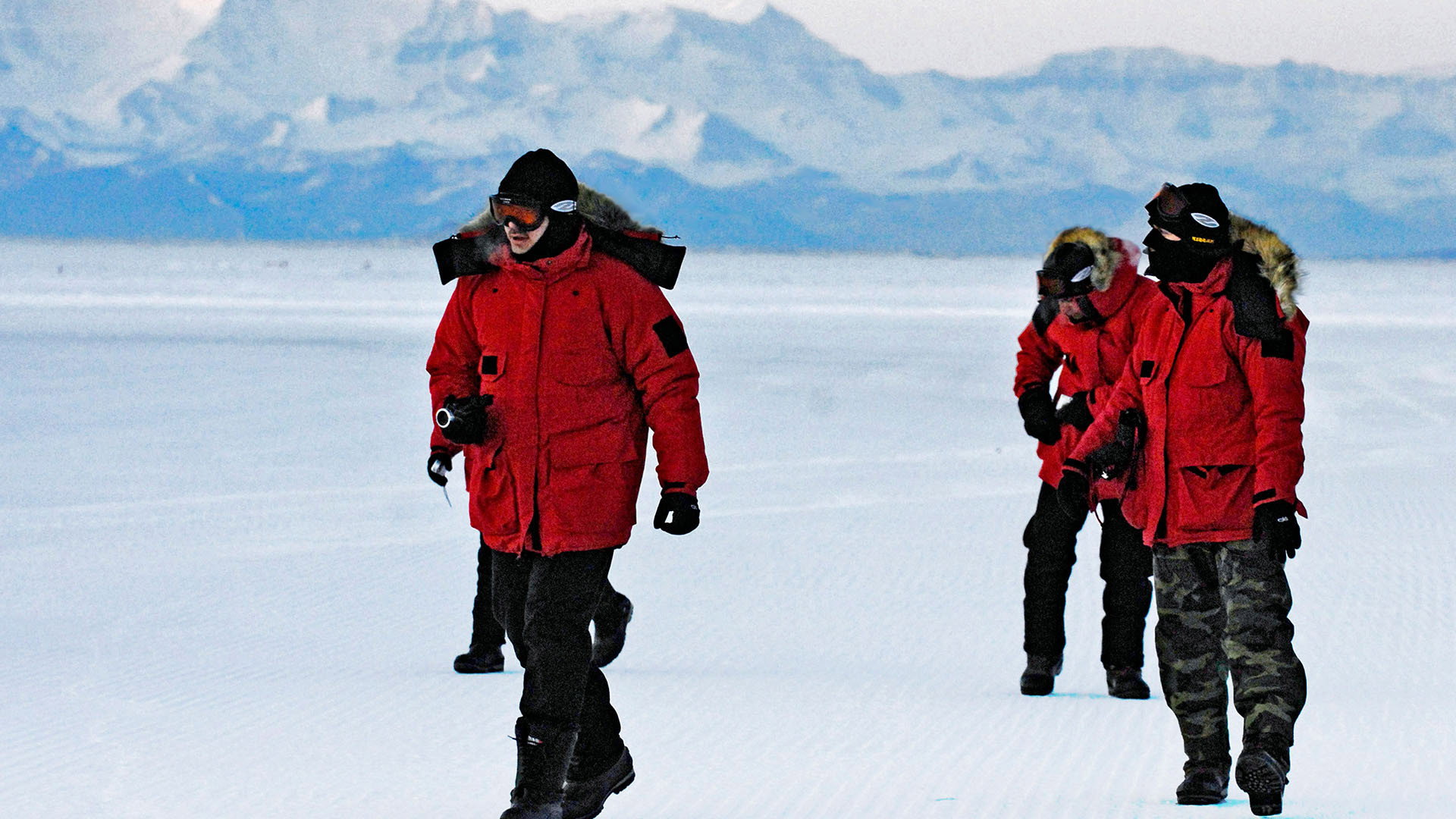 Antarctic Journal's poster