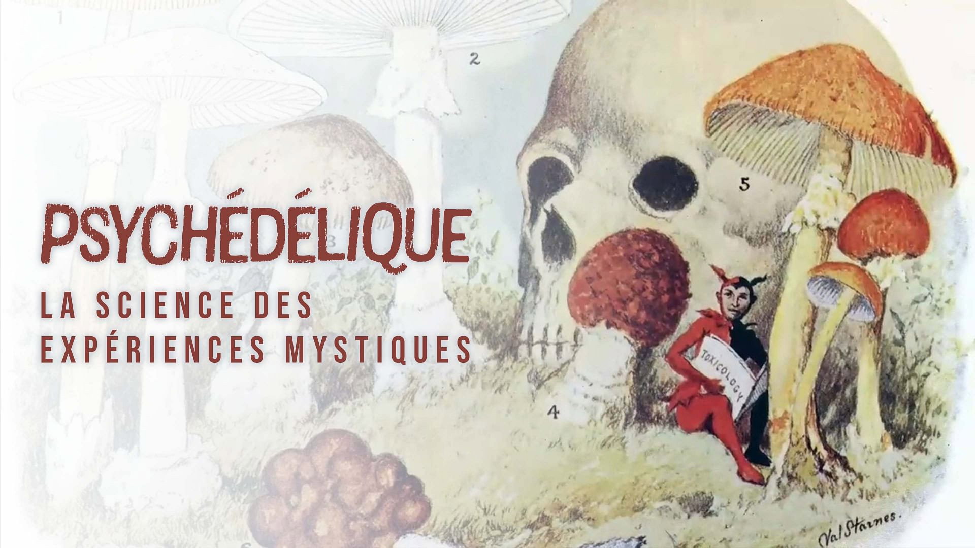 Psychedelia's poster