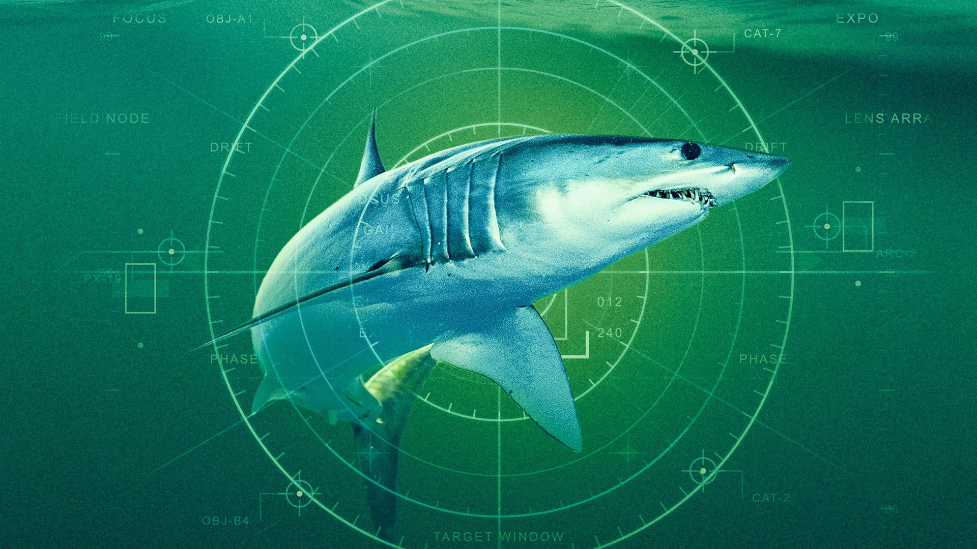 World's Biggest Mako's poster