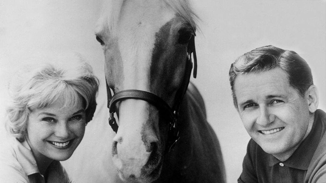 Mister Ed's poster