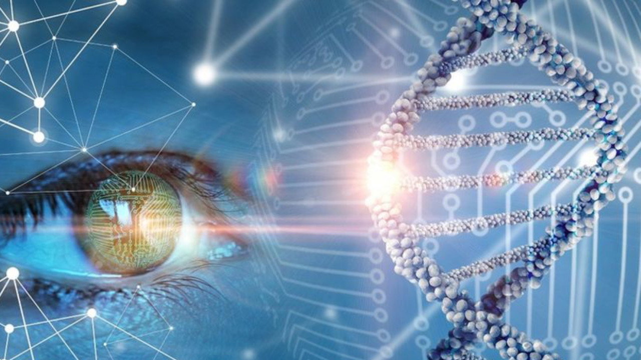 The Gene Code's poster