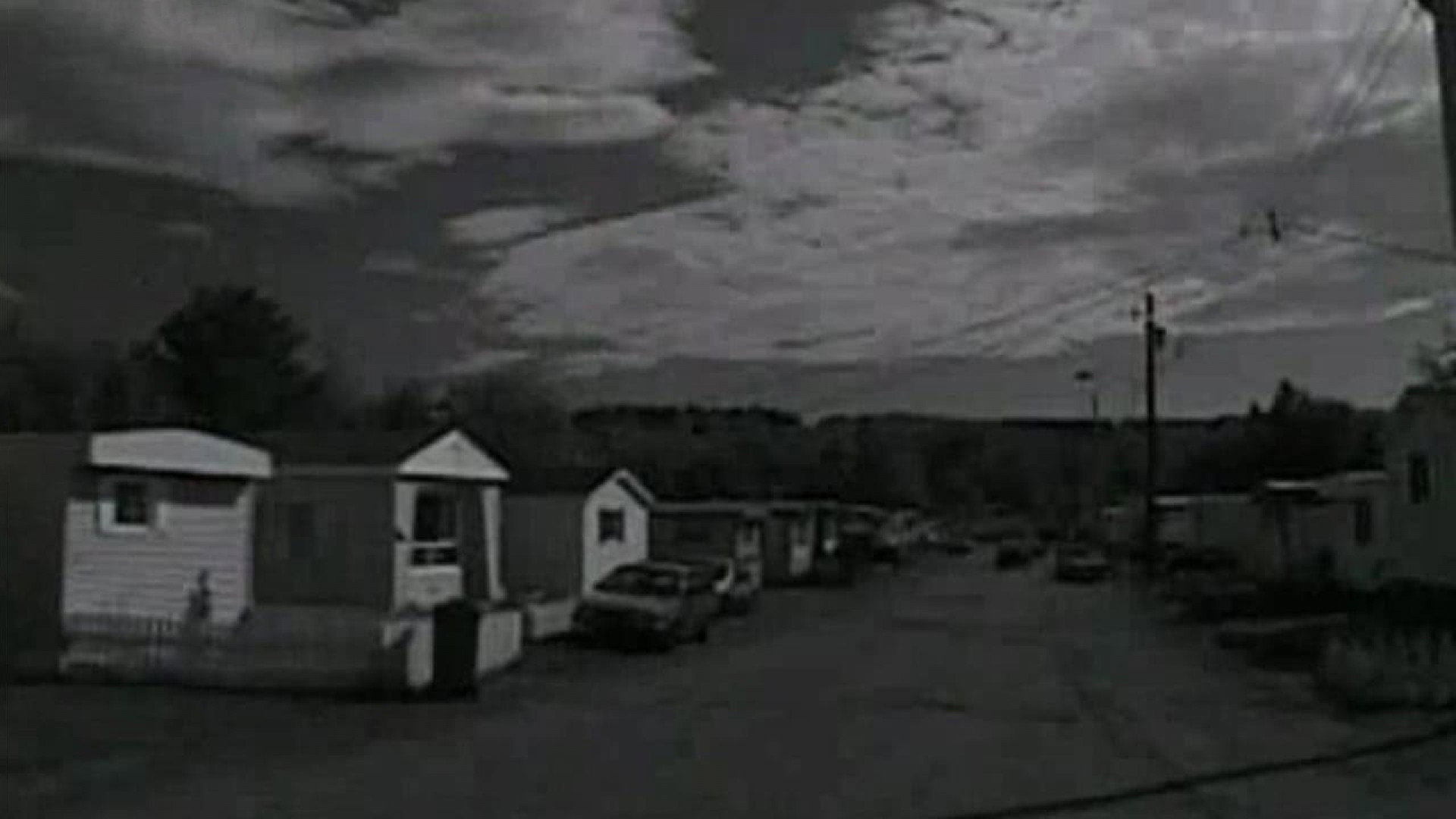 Trailer Park Boys's poster