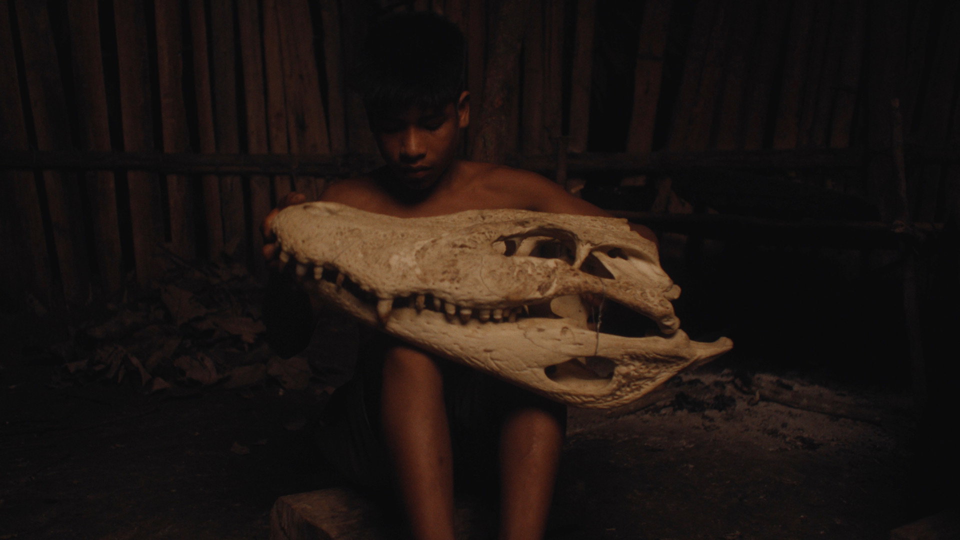 Lanawaru's poster
