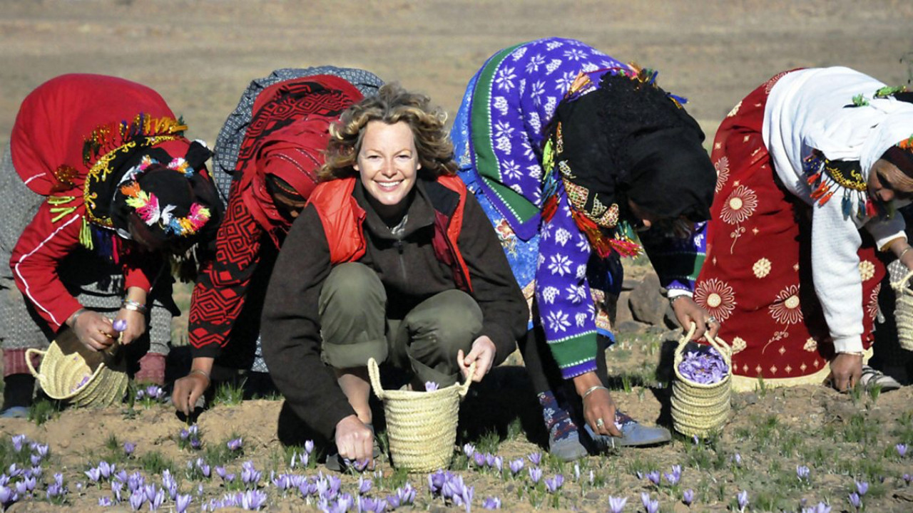 The Spice Trail's poster