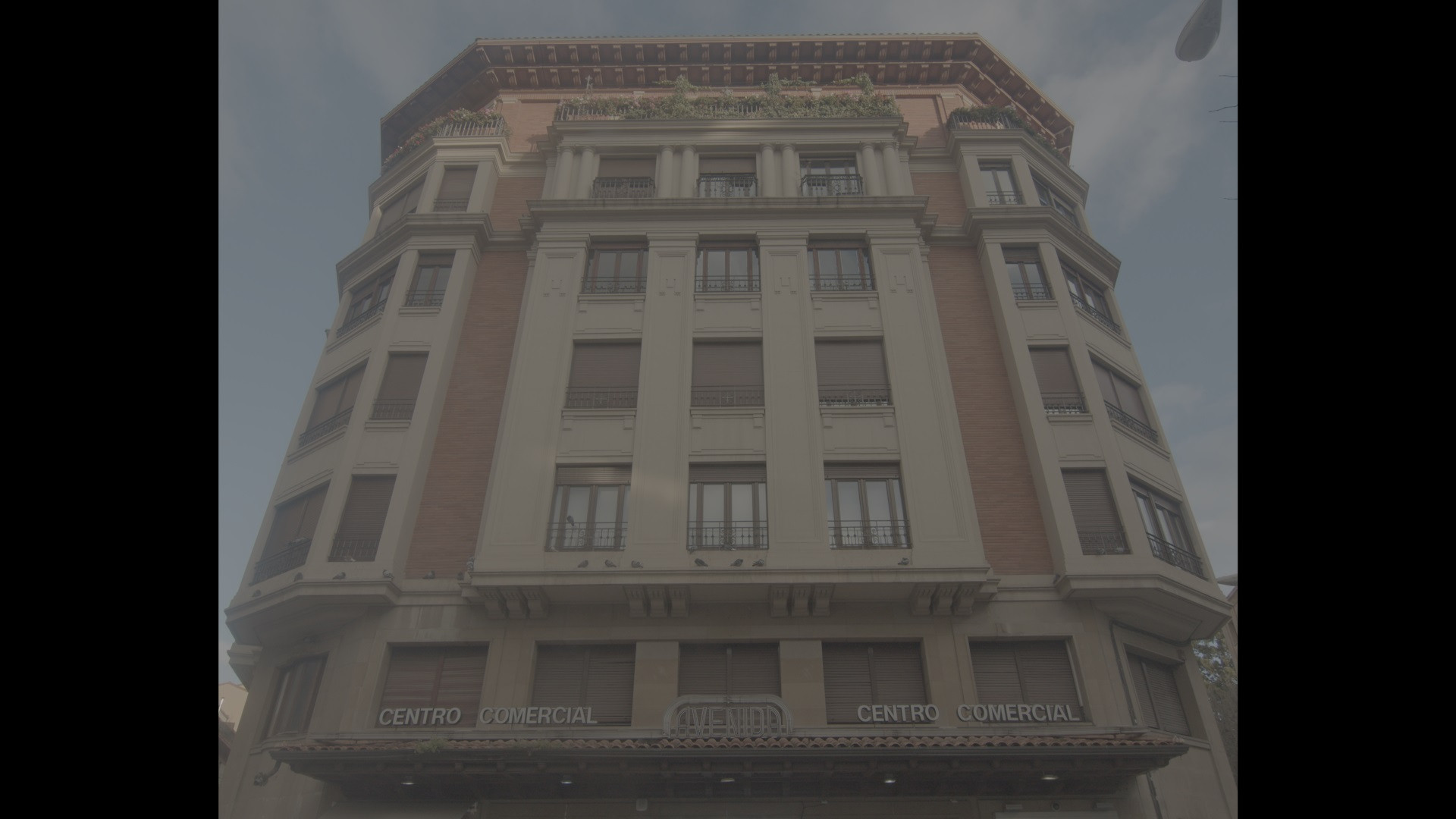 Avenida's poster