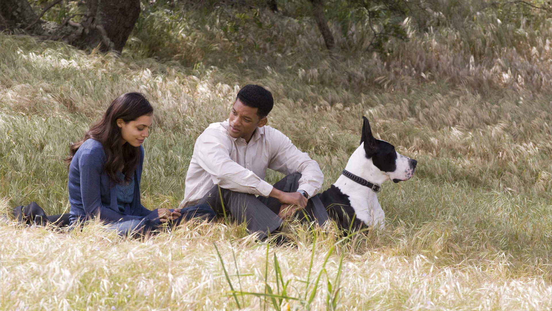 Seven Pounds's poster