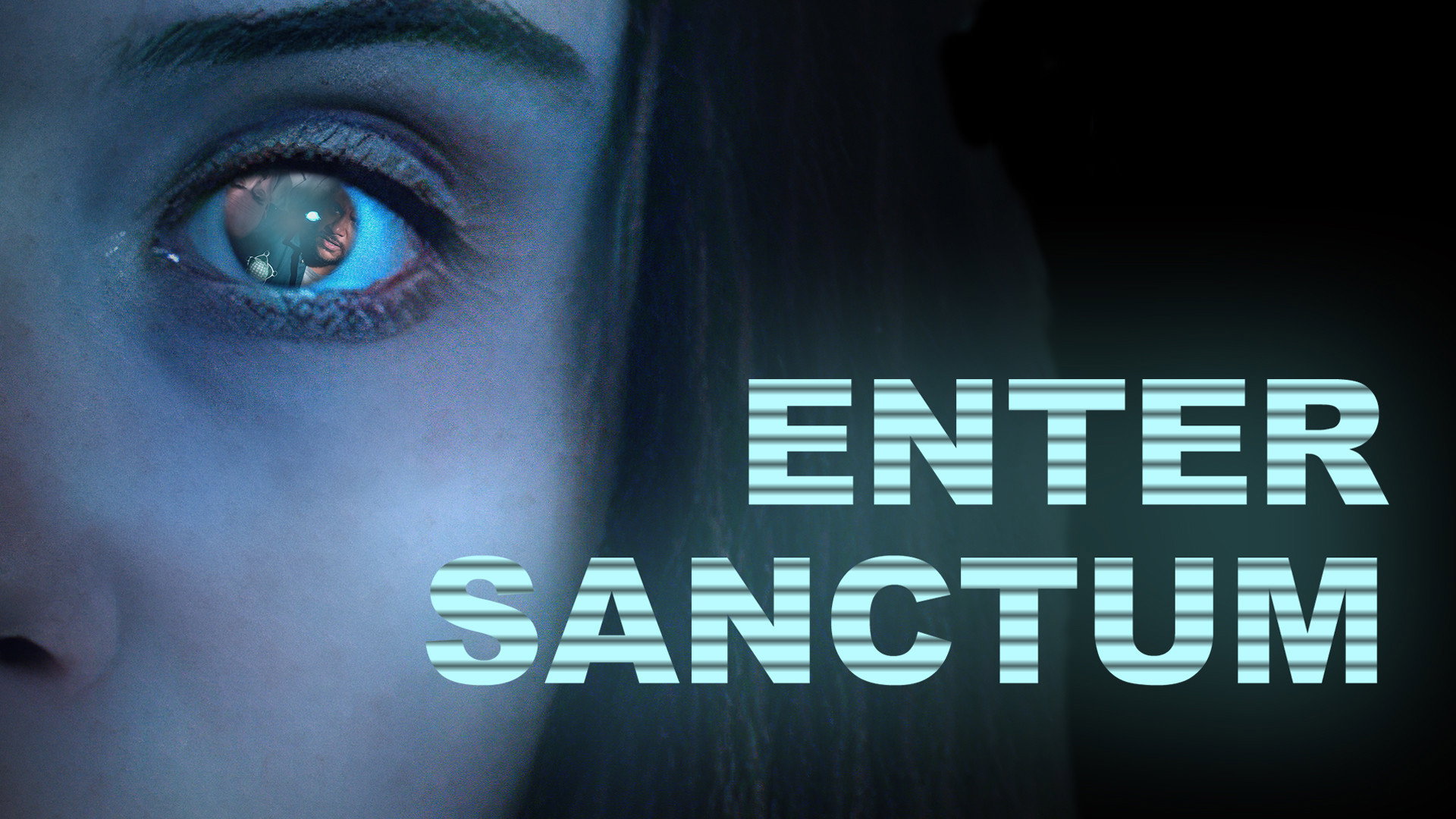 Enter Sanctum's poster