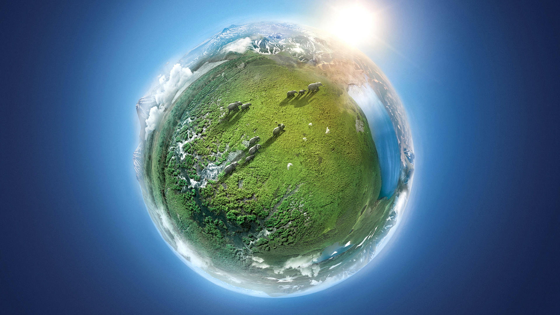 Planet Earth II's poster