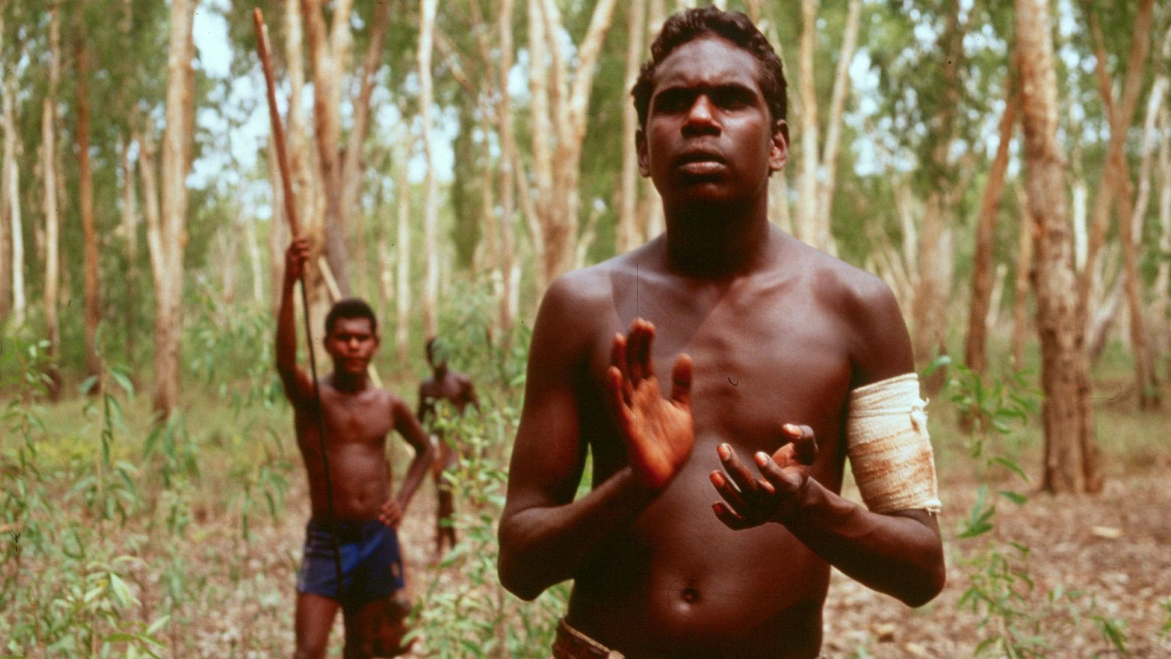 Yolngu Boy's poster