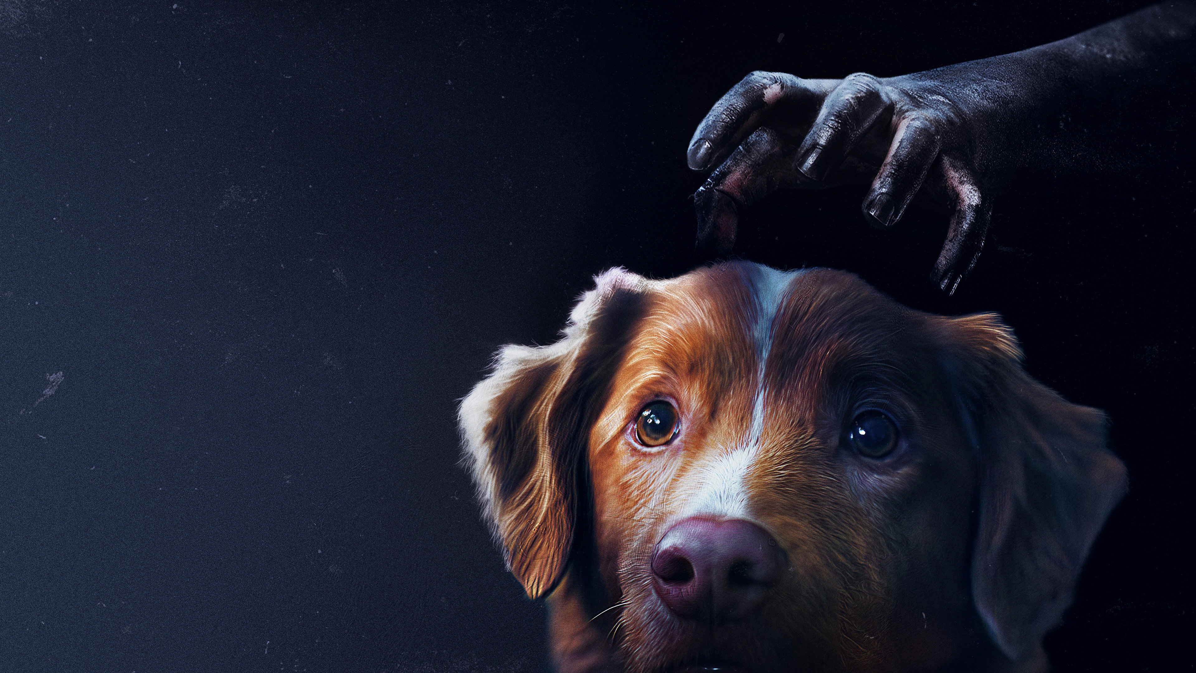 Good Boy's poster