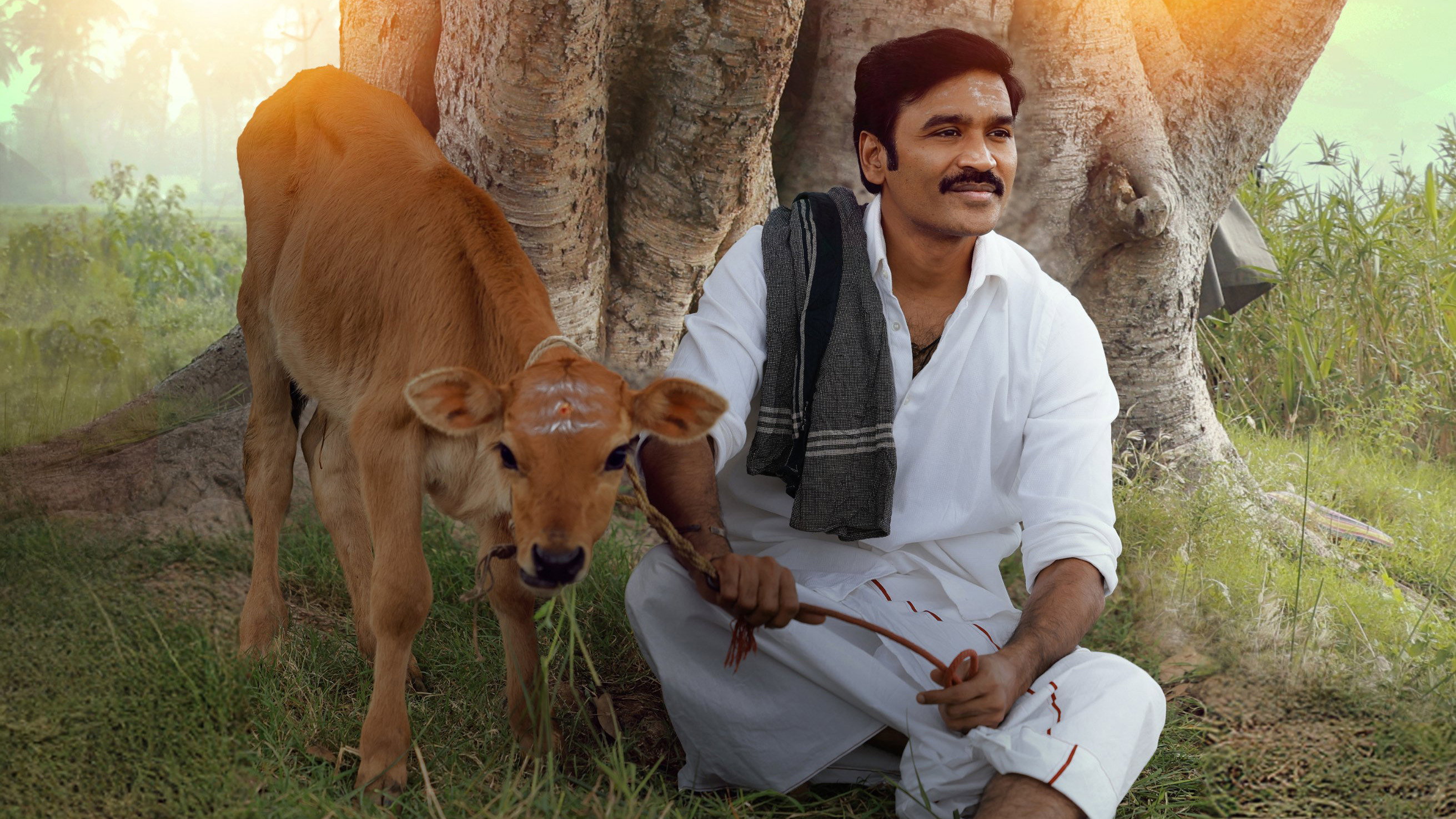 Idli Kadai's poster
