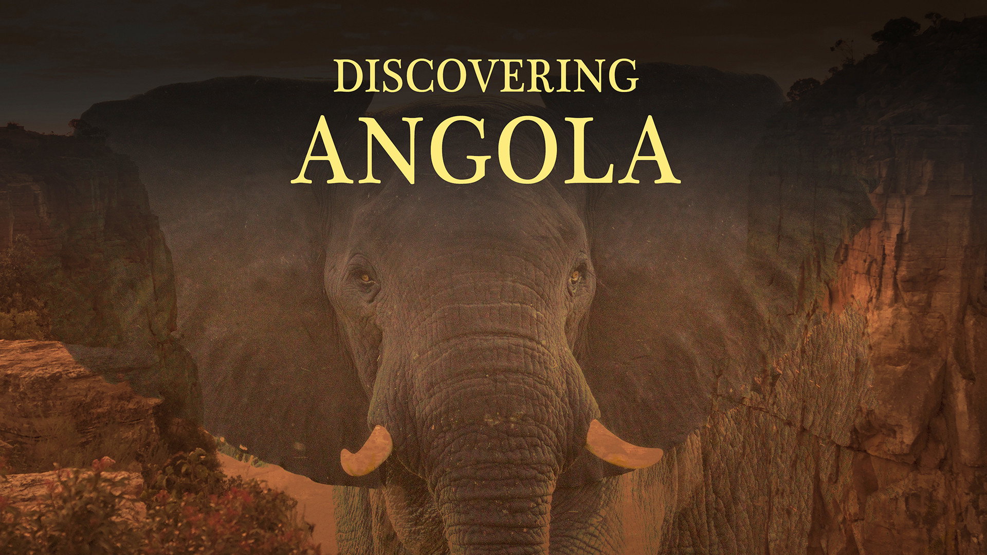 Discovering Angolaang's poster