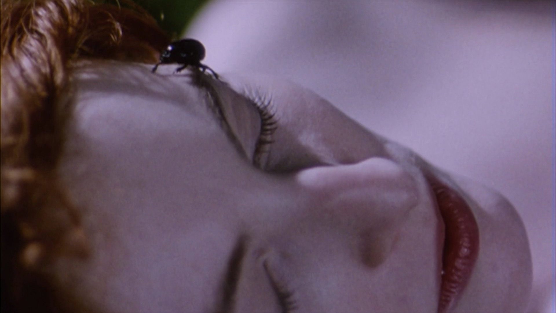 Belle de Nature's poster