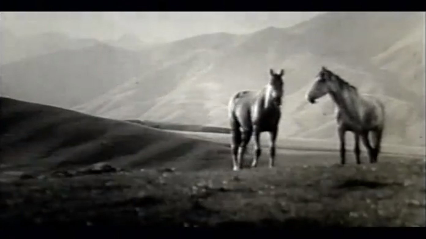 There Are Horses's poster