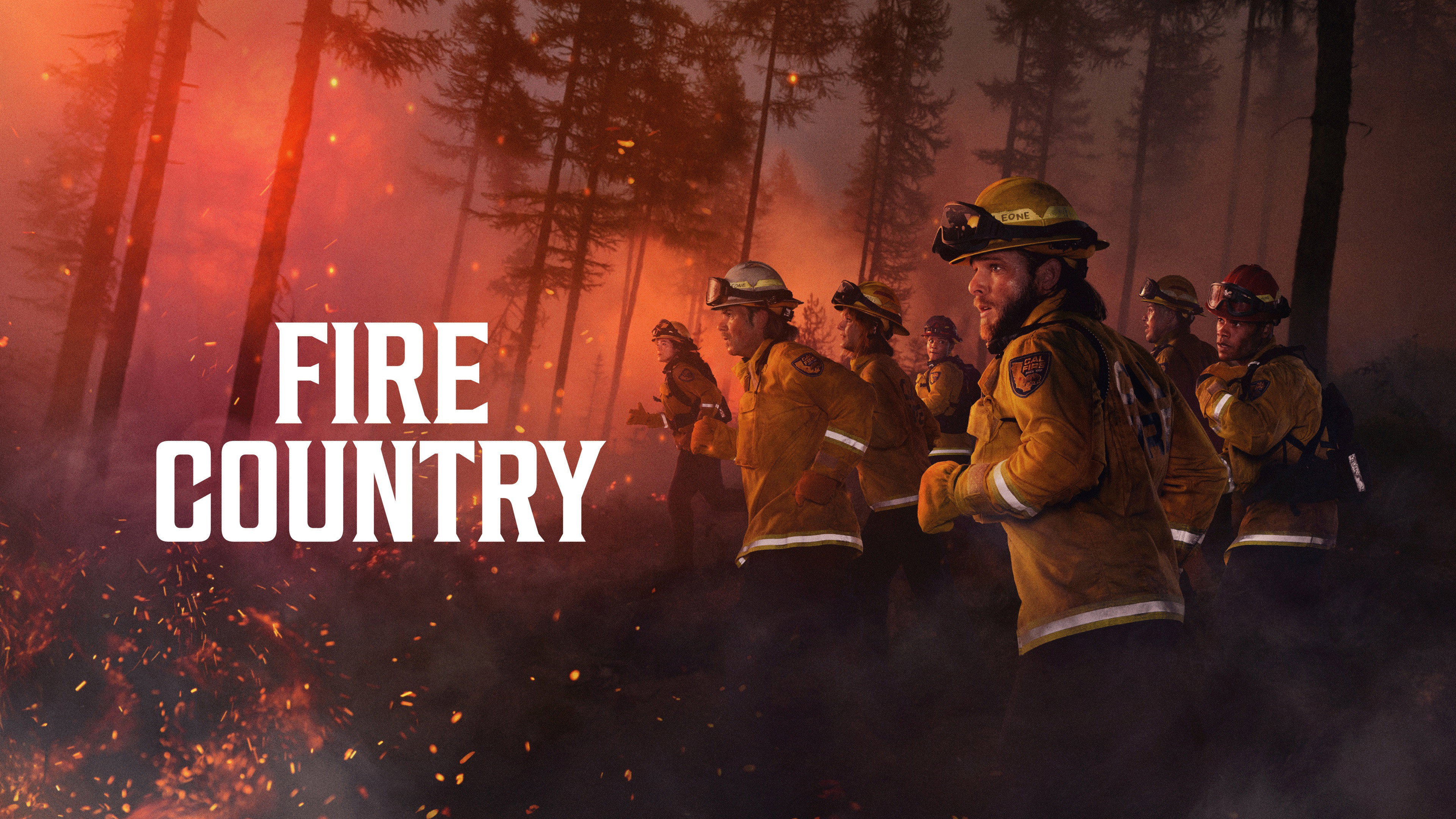 Fire Country's poster