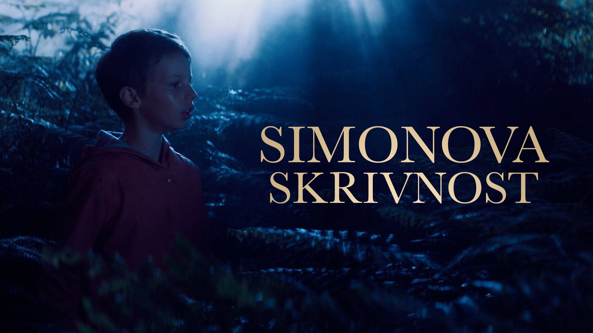 Simon's Got a Gift's poster