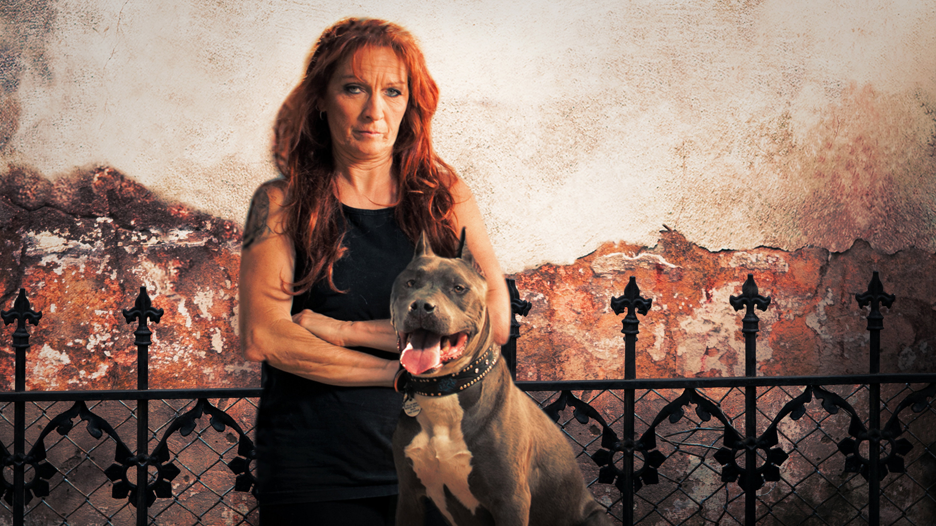 Pit Bulls and Parolees's poster