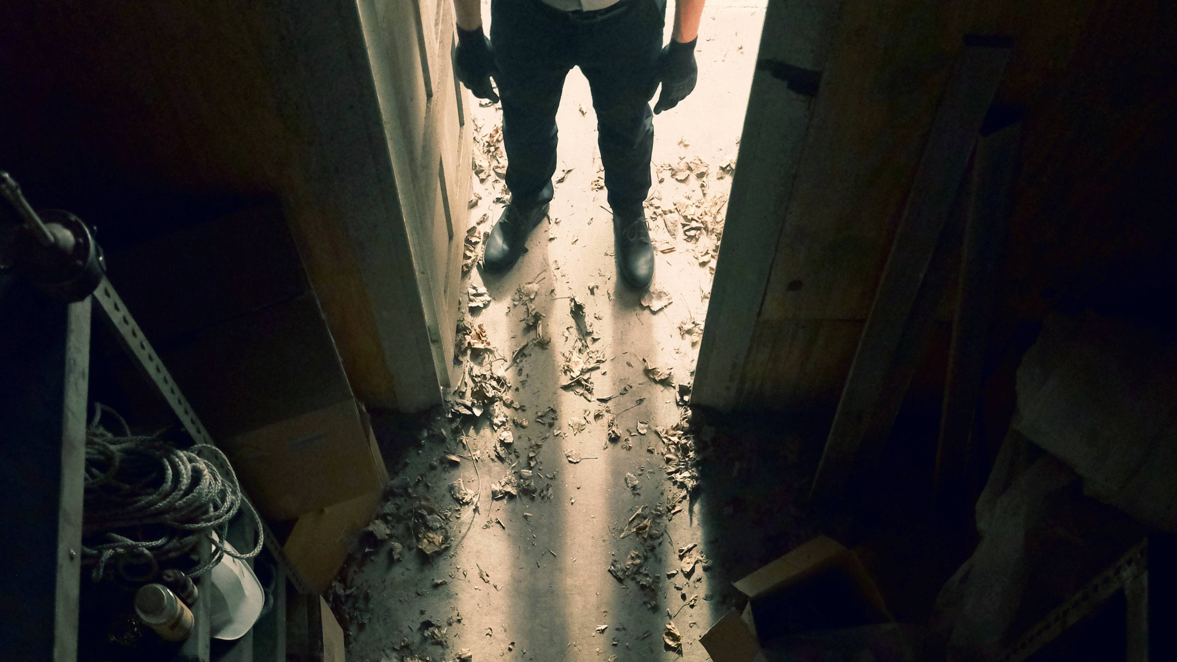 Murder Comes Home's poster